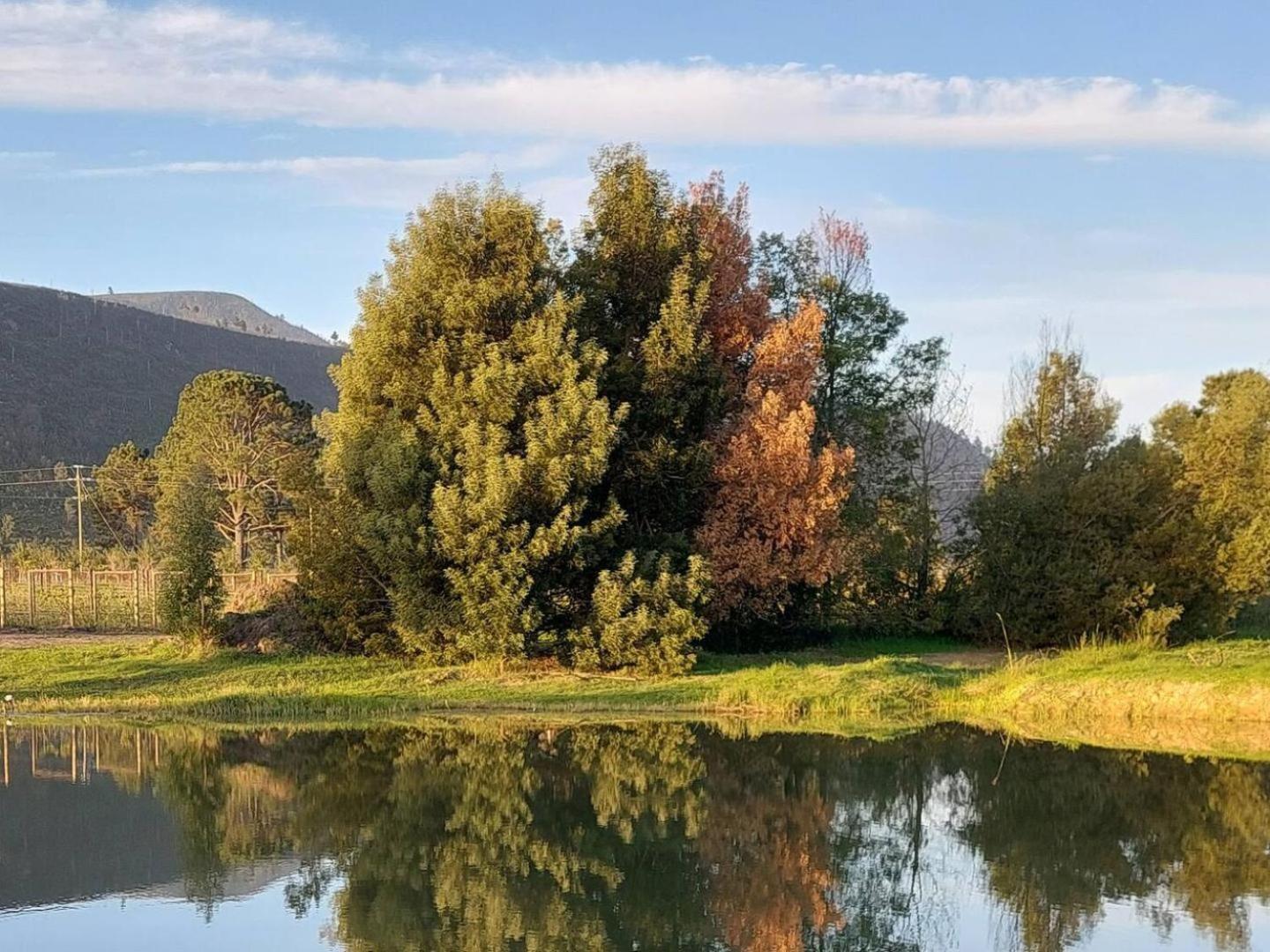 20 Good Summers Farm Stay The Crags Esterno foto