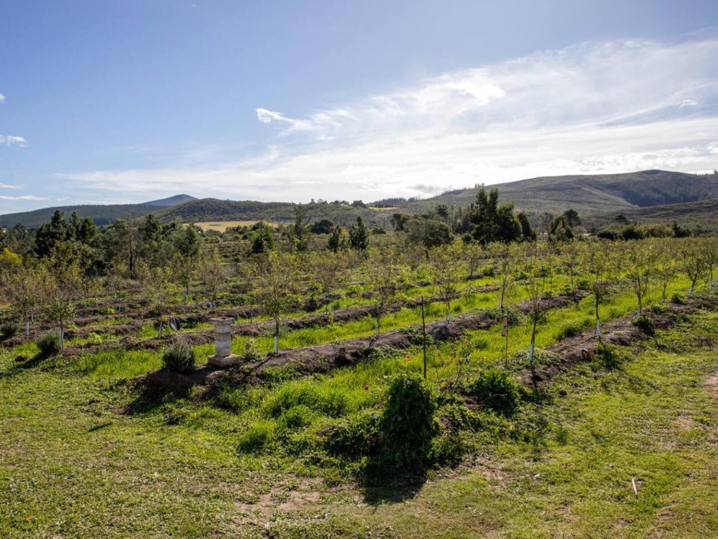 20 Good Summers Farm Stay The Crags Esterno foto
