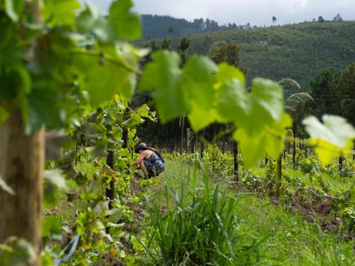 20 Good Summers Farm Stay The Crags Esterno foto