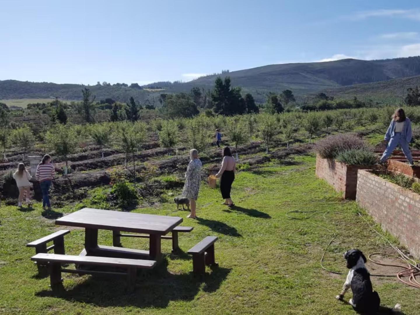 20 Good Summers Farm Stay The Crags Esterno foto