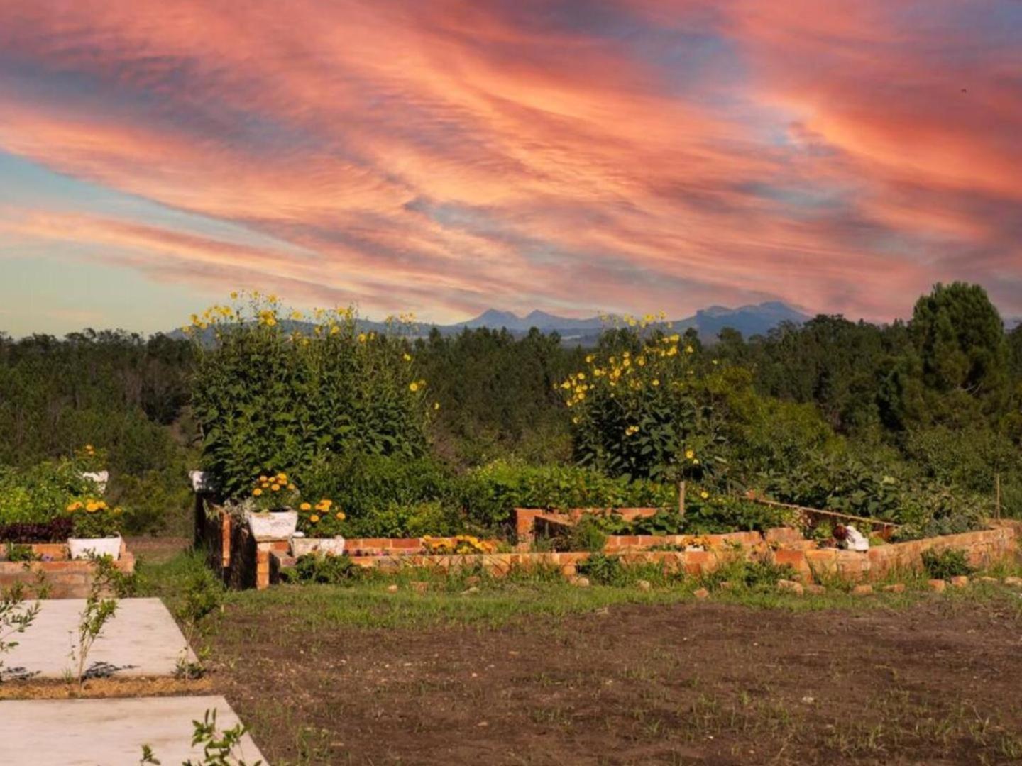 20 Good Summers Farm Stay The Crags Esterno foto