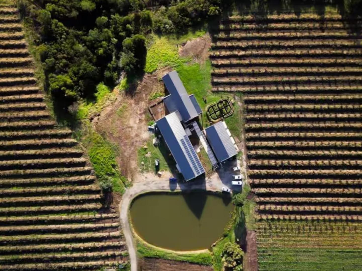 20 Good Summers Farm Stay The Crags Esterno foto