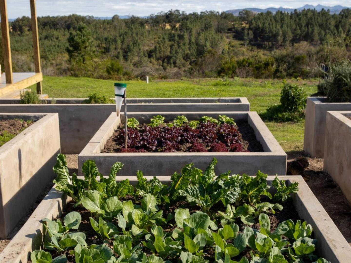 20 Good Summers Farm Stay The Crags Esterno foto